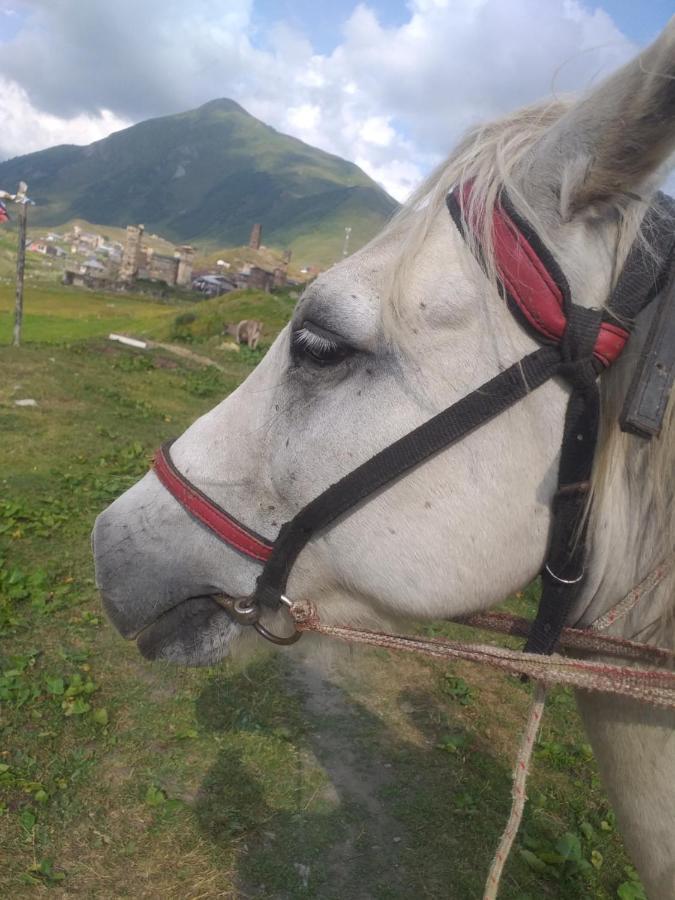 Vila Latphari In Ushguli Eksteriør bilde